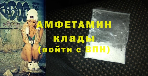 шишки Абаза