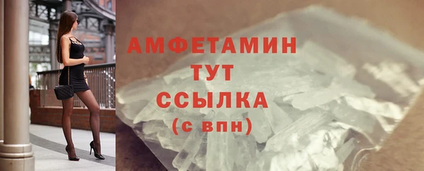 шишки Абаза