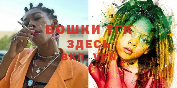 шишки Абаза