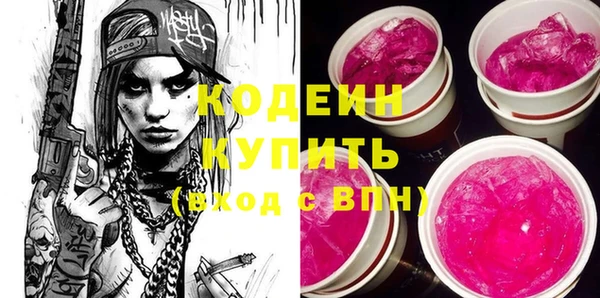 шишки Абаза