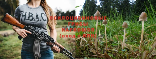 шишки Абаза