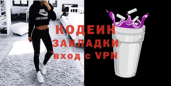 шишки Абаза