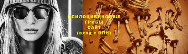 шишки Абаза